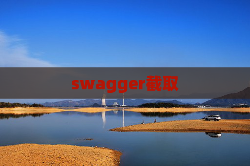 swagger截取